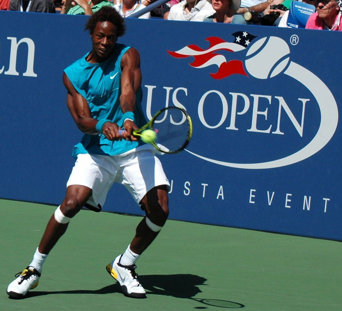 gael monfils